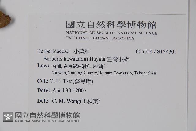 臺灣小蘗藏品圖，第2張