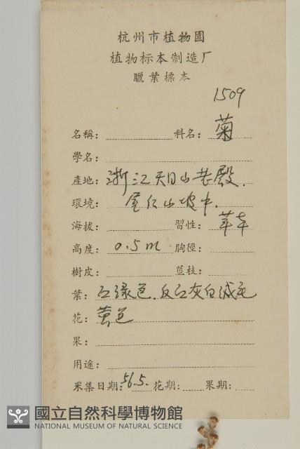 艾蒿藏品圖，第2張