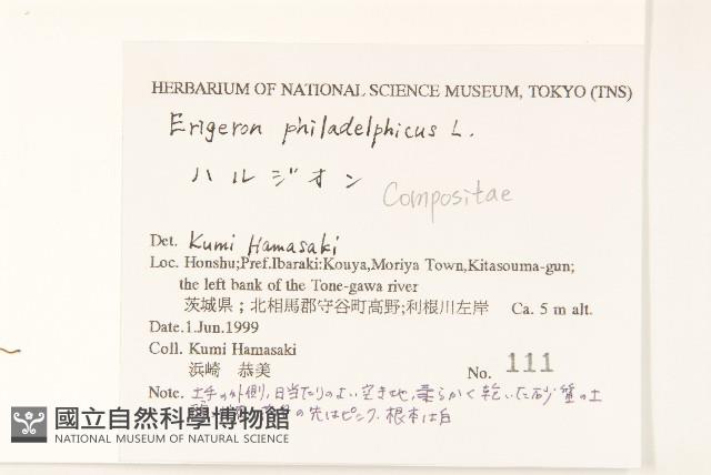 登錄號:S144305藏品圖，第2張