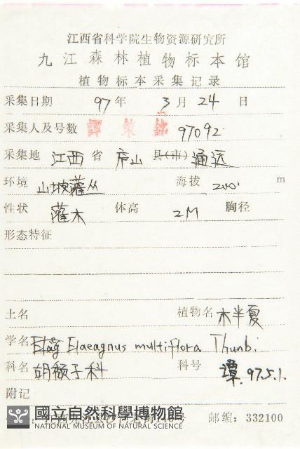 木半夏藏品圖，第2張