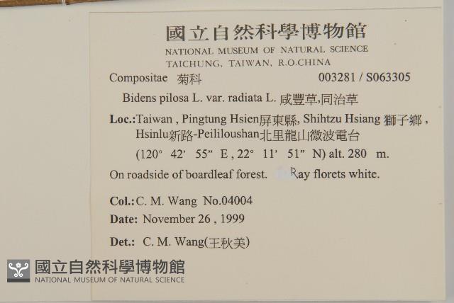 大花咸豐草藏品圖，第2張