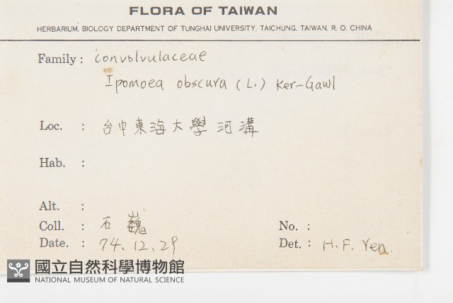 野牽牛藏品圖，第2張