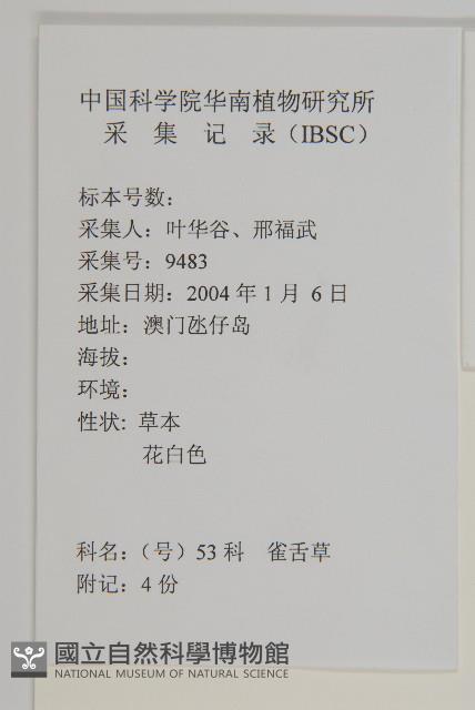 雀舌草藏品圖，第2張