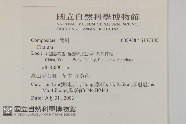 登錄號:S137305藏品圖，第2張