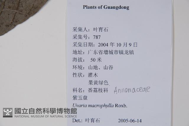 登錄號:S126805藏品圖，第2張