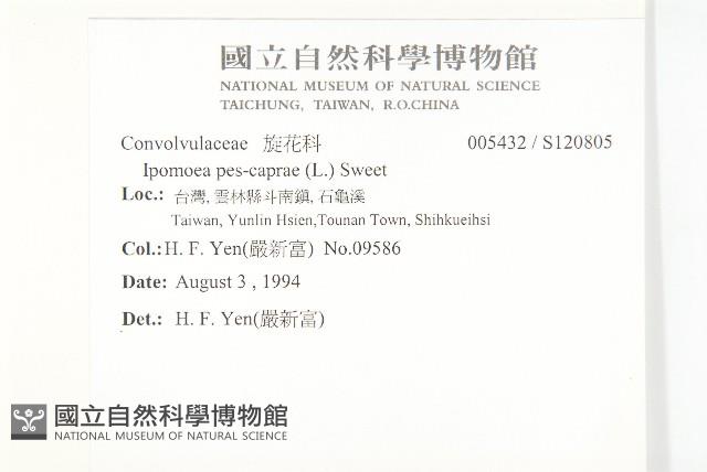 登錄號:S120805藏品圖，第2張