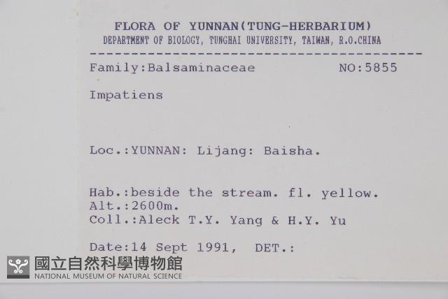 登錄號:S025805藏品圖，第2張