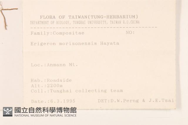 玉山飛蓬藏品圖，第2張