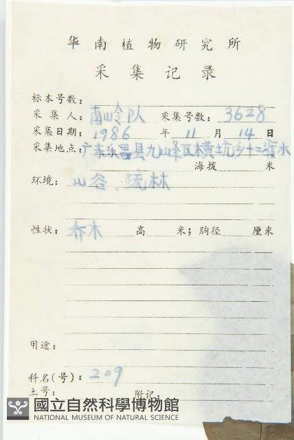 香港四照花藏品圖，第2張