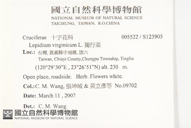 獨行菜藏品圖，第2張