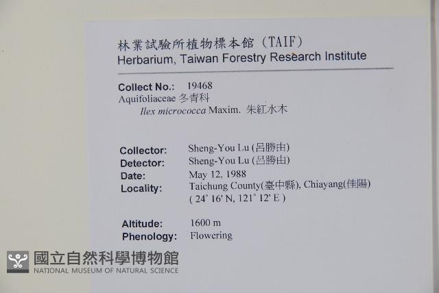 朱紅水木藏品圖，第2張