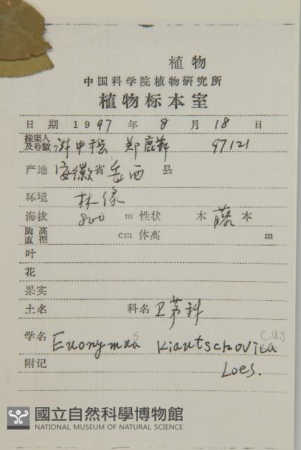 Accession Number:S047905 Collection Image, Figure 2, Total 2 Figures