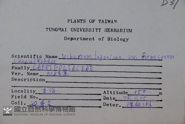 紅子莢迷藏品圖，第2張