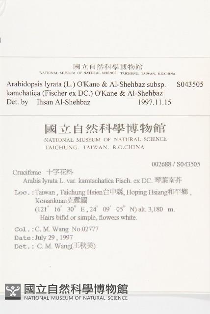 玉山筷子芥藏品圖，第2張