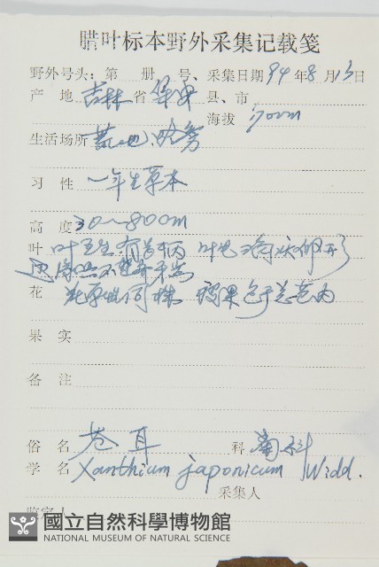 蒼耳藏品圖，第2張