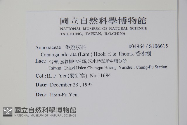 香水樹藏品圖，第2張