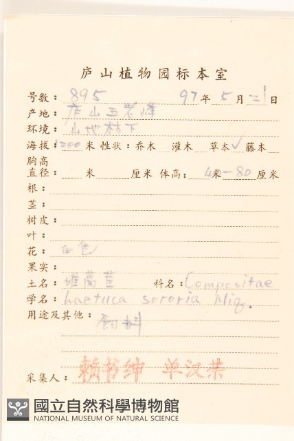 山萵苣藏品圖，第2張
