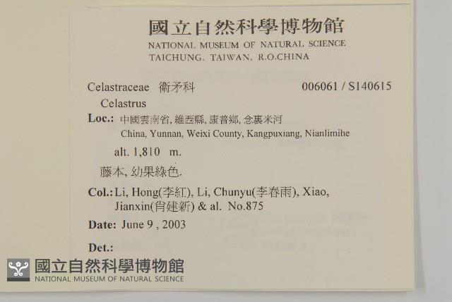 登錄號:S140615藏品圖，第2張