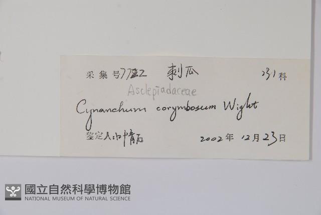 刺瓜藏品圖，第2張
