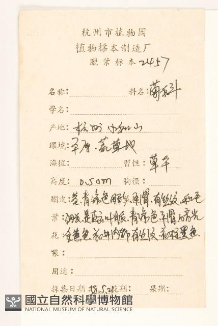 兔子菜藏品圖，第2張