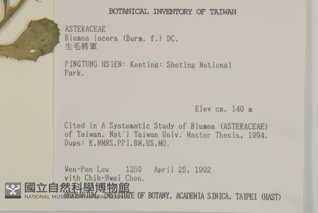 生毛將軍藏品圖，第2張