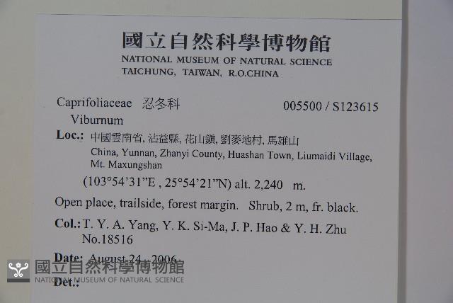 登錄號:S123615藏品圖，第2張