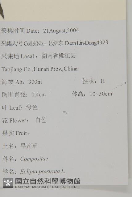 鱧腸藏品圖，第2張