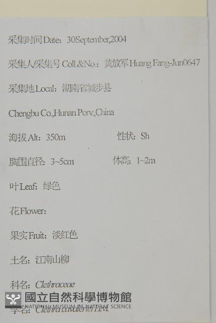 江南山柳藏品圖，第2張