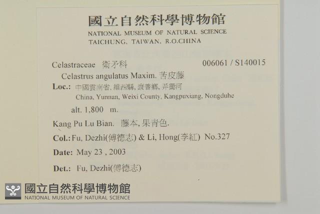 苦皮藤藏品圖，第2張