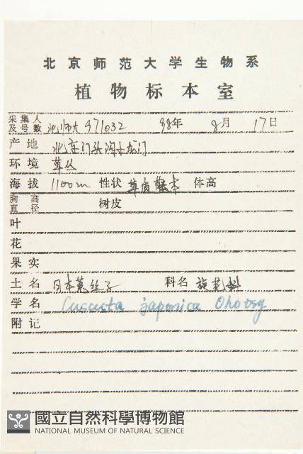 日本菟絲子藏品圖，第2張