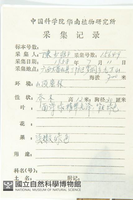 馬蹄參藏品圖，第2張