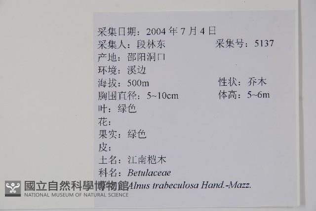 江南榿木藏品圖，第2張