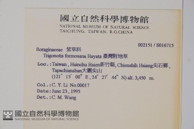 臺灣附地草藏品圖，第2張