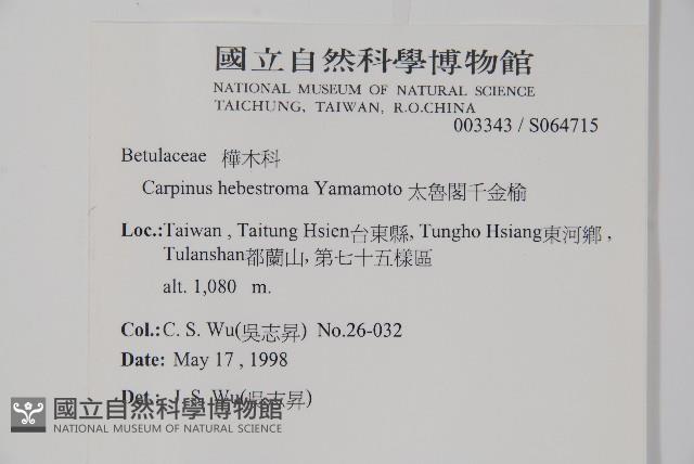 太魯閣千金榆藏品圖，第2張