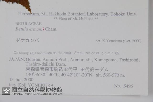 岳樺藏品圖，第2張