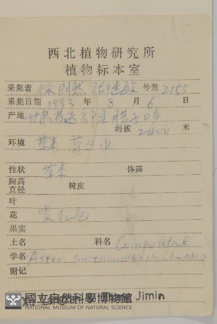 甘川紫菀藏品圖，第2張