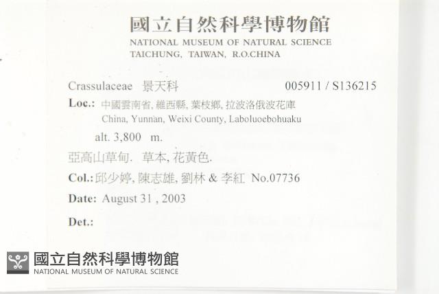 登錄號:S136215藏品圖，第2張