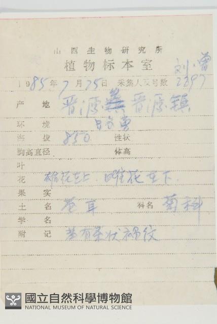 蒼耳藏品圖，第2張