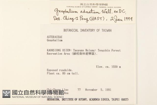 紅面番藏品圖，第2張