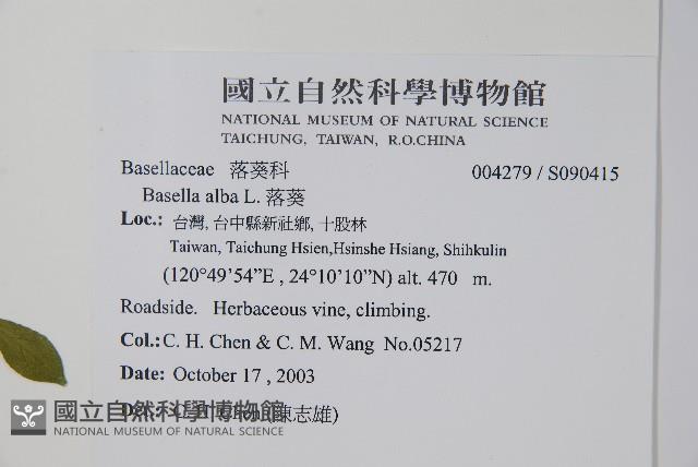 落葵藏品圖，第2張