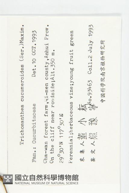 王瓜藏品圖，第2張