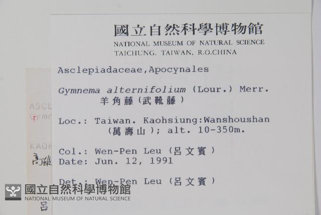 羊角藤、武靴藤藏品圖，第2張