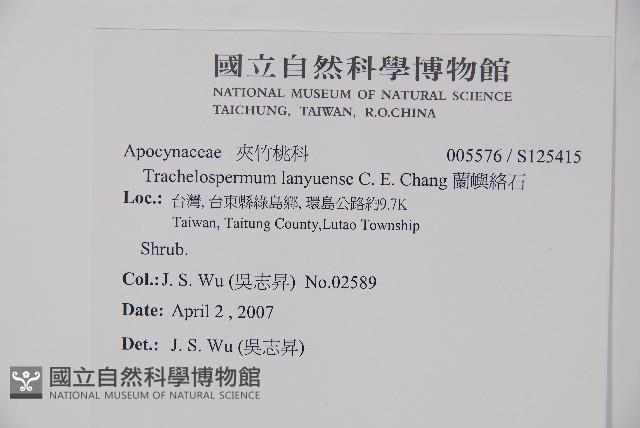 蘭嶼絡石藏品圖，第2張