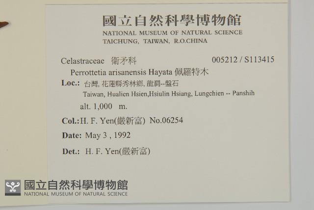 佩羅特木藏品圖，第2張