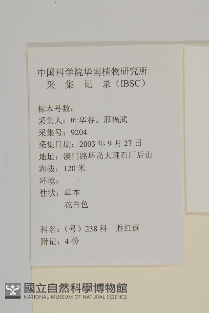 霍香薊藏品圖，第2張