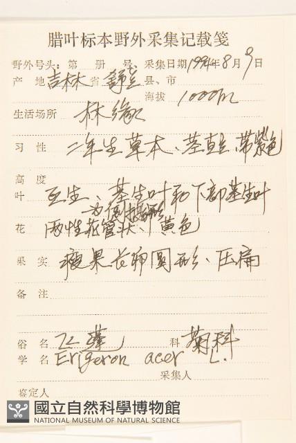 飛蓬藏品圖，第2張