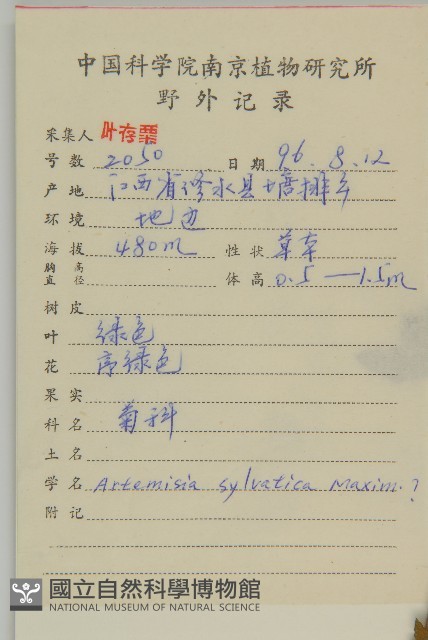 林艾蒿藏品圖，第2張