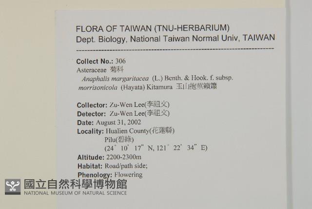 玉山抱莖籟簫藏品圖，第2張