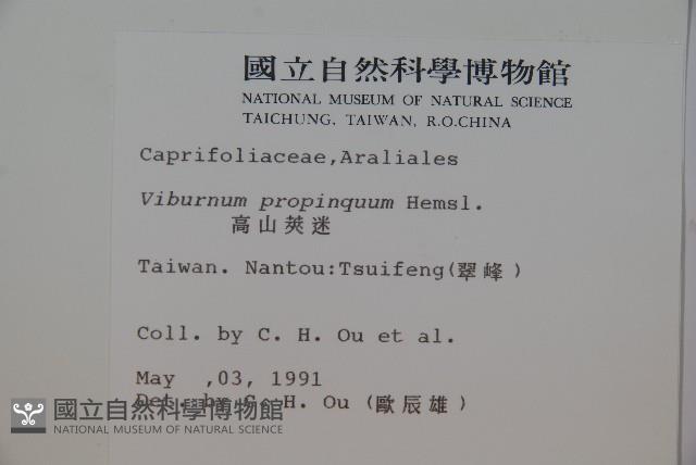 高山莢迷藏品圖，第2張