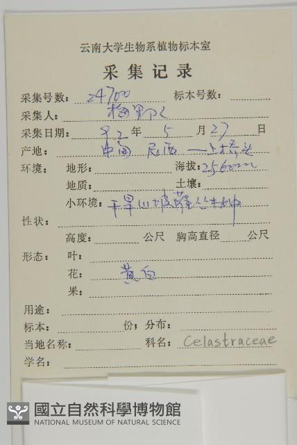 哥蘭葉藏品圖，第2張